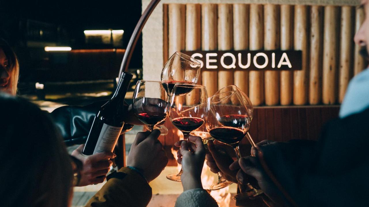 Roots Villa Sequoia Брашов Екстериор снимка
